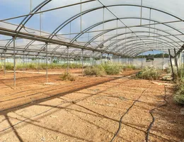 Aste giudiziarie immobiliari online - 6.0