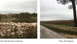 Aste giudiziarie immobiliari online - 7.0