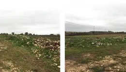 Aste giudiziarie immobiliari online - 2.0