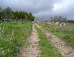 Aste giudiziarie immobiliari online - 2.0