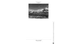 Aste giudiziarie immobiliari online - 9.0