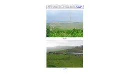 Aste giudiziarie immobiliari online - 11.0