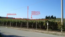 Aste giudiziarie immobiliari online - 4.0