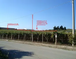 Aste giudiziarie immobiliari online - 4.0