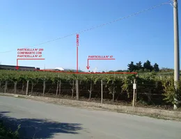 Aste giudiziarie immobiliari online - 5.0