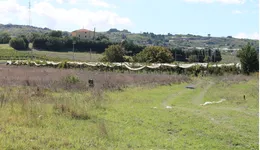 Aste giudiziarie immobiliari online - 9.0