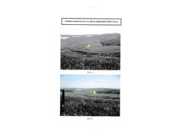 Aste giudiziarie immobiliari online - 10.0