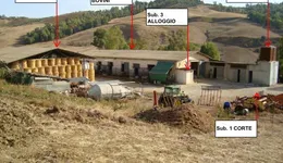 Aste giudiziarie immobiliari online - 4.0