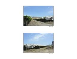 Aste giudiziarie immobiliari online - 8.0