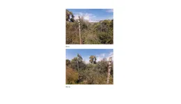 Aste giudiziarie immobiliari online - 6.0