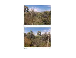 Aste giudiziarie immobiliari online - 6.0