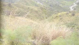 Aste giudiziarie immobiliari online - 2.0