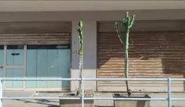 Aste giudiziarie immobiliari online - 9.0