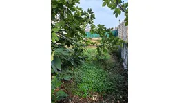 Aste giudiziarie immobiliari online - 7.0