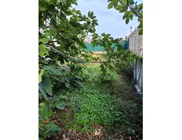 Aste giudiziarie immobiliari online - 7.0