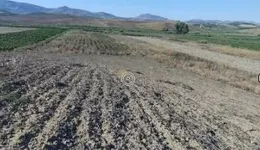 Aste giudiziarie immobiliari online - 4.0