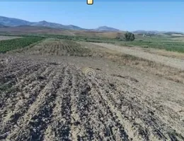 Aste giudiziarie immobiliari online - 11.0