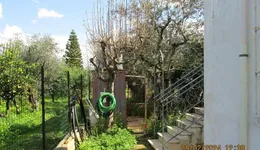 Aste giudiziarie immobiliari online - 10.0