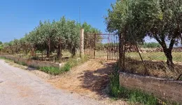 Aste giudiziarie immobiliari online - 12.0