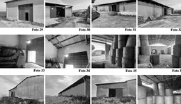 Aste giudiziarie immobiliari online - 10.0