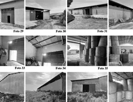 Aste giudiziarie immobiliari online - 10.0