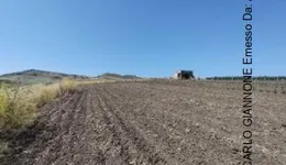 Aste giudiziarie immobiliari online - 9.0