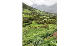 Aste giudiziarie immobiliari online - 9.0