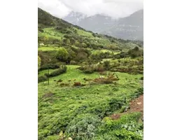 Aste giudiziarie immobiliari online - 2.0