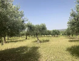 Aste giudiziarie immobiliari online - 12.0