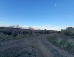 Aste giudiziarie immobiliari online - 9.0