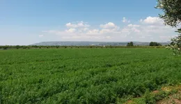 Aste giudiziarie immobiliari online - 5.0