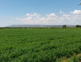 Aste giudiziarie immobiliari online - 9.0