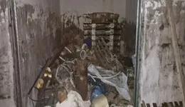 Aste giudiziarie immobiliari online - 2.0