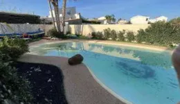 Aste giudiziarie immobiliari online - 11.0