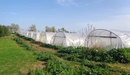 Aste giudiziarie immobiliari online - 6.0