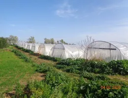 Aste giudiziarie immobiliari online - 6.0