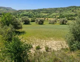 Aste giudiziarie immobiliari online - 6.0