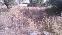 Aste giudiziarie immobiliari online - 7.0