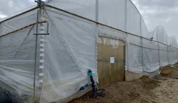 Aste giudiziarie immobiliari online - 10.0