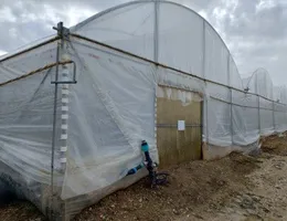 Aste giudiziarie immobiliari online - 10.0