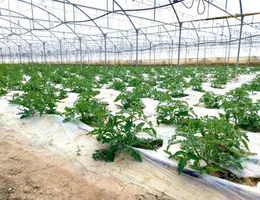 Aste giudiziarie immobiliari online - 6.0