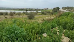 Aste giudiziarie immobiliari online - 5.0