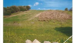 Aste giudiziarie immobiliari online - 2.0