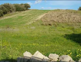 Aste giudiziarie immobiliari online - 6.0