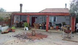 Aste giudiziarie immobiliari online - 9.0