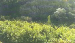 Aste giudiziarie immobiliari online - 9.0