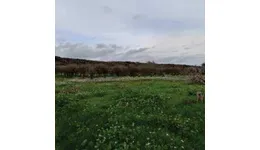 Aste giudiziarie immobiliari online - 10.0