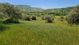 Aste giudiziarie immobiliari online - 5.0