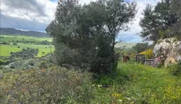 Aste giudiziarie immobiliari online - 5.0