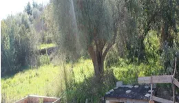 Aste giudiziarie immobiliari online - 10.0